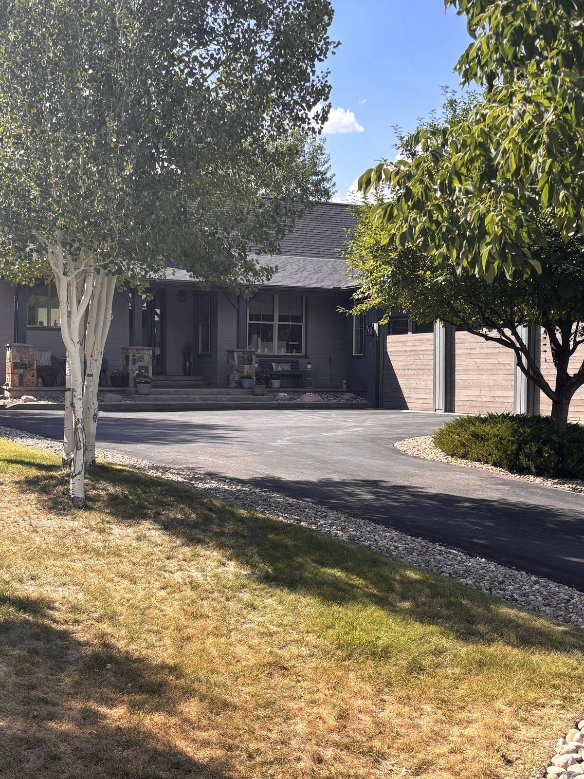 A sealed driveway shaded by aspens